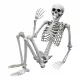  SCHELET UMAN DIN OASE DE HALLOWEEN 170CM