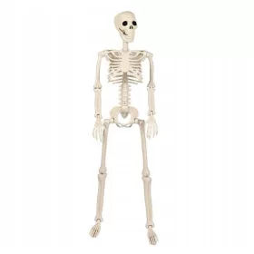  SCHELET UMAN SCHELET CRANIU DECORATIE DE HALLOWEEN 93CM