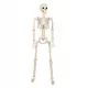  SCHELET UMAN SCHELET CRANIU DECORATIE DE HALLOWEEN 93CM