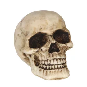  Decoratiune "Craniu", Guirca, 8 cm