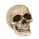  Decoratiune "Craniu", Guirca, 8 cm