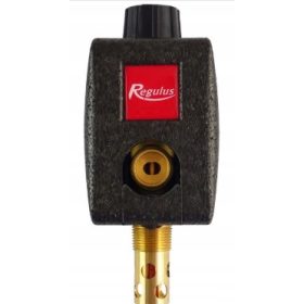  Supapă de răcire Regulus DBV1 cu izolație