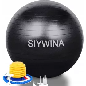    MINGE GIMNASTICA REHABILITARE AEROBI FITNESS 65CM + POMPA 65cm