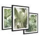 Tablouri în Rame Elegante cu Ferigi Tropicale Tryptych - Decoratiune Rafinată