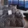 Set de Lenjerie de Pat din Bumbac Satinat Premium 160x200 cm, 3 Piese, Diverse Modele