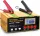  Redresor baterie auto 12A, 12V/24V