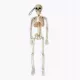  HALLOWEEN SKELETOR DECORATIV 40 CM