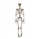 DECORATIE SCHELETE SCHELET DE HALLOWEEN 90 CM