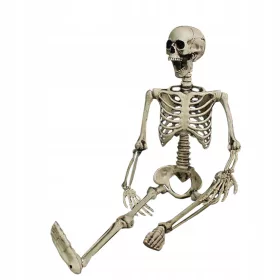  Decor de schelet uman de Halloween