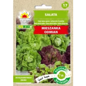    Seminte de legume pe centura de 7m, amestec de salata verde pentru salate, pentru recoltare repetata