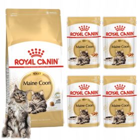    Royal Canin Maine Coon Hrana pentru pisici adulti uscata 0,4 kg + umeda 4x85g