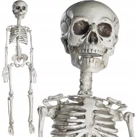  schelet complet de Halloween cu articulații mobile, 76CM
