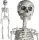  schelet complet de Halloween cu articulații mobile, 76CM