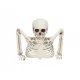  Decoratune de Halloween cu schelet îngropat