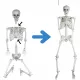  170cm SCHELETOR UMAN SKELETOR CRANIU CRANIU DECORATIE DE HALLOWEEN