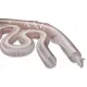  Hose Pipe Cable Master PUR LF Trivolution DN70mm pentru alimentatorul de peleți al cazanului
