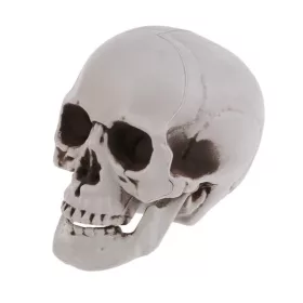  CRANIU ARTIFICIAL CRANIU UmbriT GRI 20CM