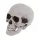  CRANIU ARTIFICIAL CRANIU UmbriT GRI 20CM