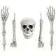  Decoratune Scheletul OSEARE Scheletul Craniu Brate Picioare Halloween 5 buc.