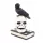  Figurină schelet cu culori vii și detalii pentru decorarea Halloween-ului