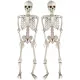  2x SCHELETE AGÂNATE 35cm SET DE SCHELETE ORNAMENT DECORATIE DE HALLOWEEN
