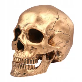  1PC Skull Action Figure Halloween Craniu Prop