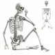  SCHELETON agățat schelet înfricoșător decor HALLOWEEN 170CM