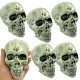  Decor Halloween Cranii 6 buc. Scheletul craniului