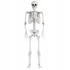  SCHELET BONEBODY 165 cm DECORATIE DE HALLOWEEN