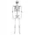  SCHELET BONEBODY 165 cm DECORATIE DE HALLOWEEN
