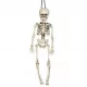  Cadru suspendat Fiestas Guirca din plastic 40 cm