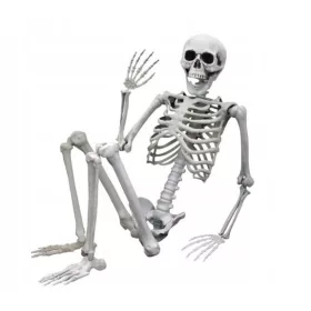  MODEL DE SCHELET UMAN OASE DE HALLOWEEN 90CM