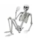  MODEL DE SCHELET UMAN OASE DE HALLOWEEN 90CM