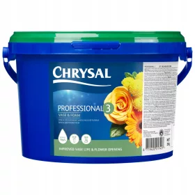   CHRYSAL PROFESSIONAL 3 - 2KG PENTRU BURET ȘI COMPOZIȚII GAȚISTE / PENTRU GIPS