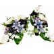 Compoziții florale de înaltă calitate și vaze pentru decor