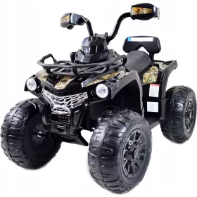  BATERIE QUAD POWER 12V 2 MOTOARE ROȚI EVA