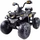  BATERIE QUAD POWER 12V 2 MOTOARE ROȚI EVA