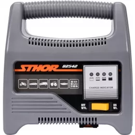  Redresor Sthor 82542 6A 12V