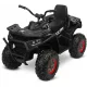  Quad Toyz TERRA BLACK Negru
