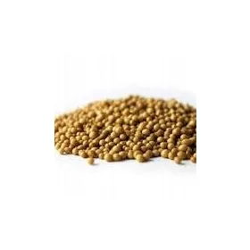  Îngrășământ Osmocote IGLAK 5-6 luni. 5 kg.