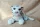  MASCOTA DE PELU AXIOM TIGR ALB