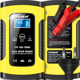  Redresor automat Volt Polska 6PRO061205 5A