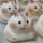 Jucărie de strângere din silicon Taba Squishy Hamster realizată manual