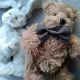  Mascota ursuleț de pluș 25 cm Bukowski Design 6 m +