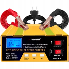  REDRESSOR AUTO PENTRU BATERIE 12V 24V 14A