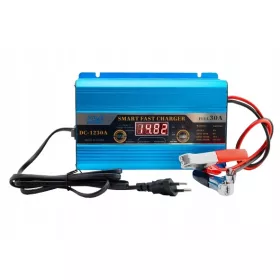    Sunchonglic Redresor încărcător auto pentru baterii de 12V