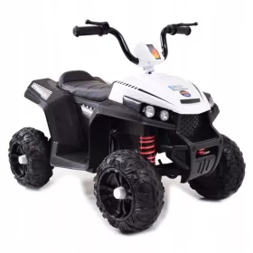  BATERIE QUAD, DOUĂ MOTORE, DOUĂ BATERIE,