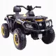  BIG QUAD PENTRU BATERIE XT SPEED 12V, 90 WAT/S615