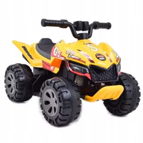  PRIMUL BATERIE QUAD DIRT RAIDER/BRD2101