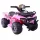  CHAMPION BATTERY QUAD - SCAUN SUPER MOLE /JC913